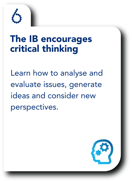 IBDP 6